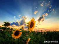 柳州筑千商贸有限公司