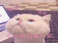 柳州筑千商贸有限公司
