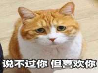 柳州筑千商贸有限公司