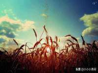 柳州筑千商贸有限公司