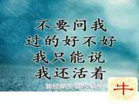 柳州筑千商贸有限公司