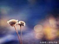 柳州筑千商贸有限公司