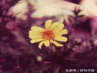 柳州筑千商贸有限公司