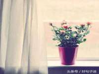 柳州筑千商贸有限公司