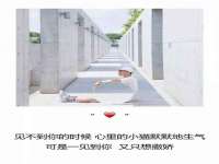 柳州筑千商贸有限公司