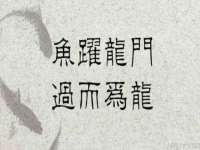 柳州筑千商贸有限公司