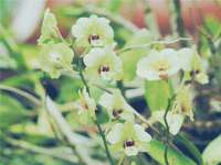 柳州筑千商贸有限公司