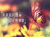 柳州筑千商贸有限公司