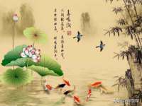 柳州筑千商贸有限公司