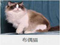 柳州筑千商贸有限公司