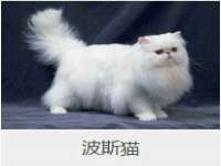 柳州筑千商贸有限公司