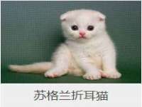 柳州筑千商贸有限公司