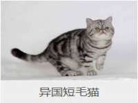 柳州筑千商贸有限公司