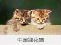柳州筑千商贸有限公司