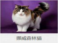 柳州筑千商贸有限公司