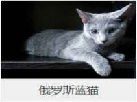 柳州筑千商贸有限公司