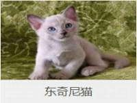 柳州筑千商贸有限公司
