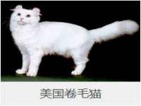 柳州筑千商贸有限公司