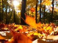 柳州筑千商贸有限公司