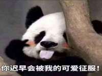 柳州筑千商贸有限公司