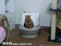 柳州筑千商贸有限公司