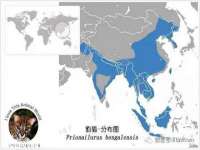 柳州筑千商贸有限公司