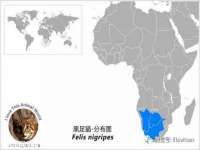 柳州筑千商贸有限公司