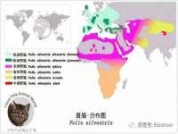 柳州筑千商贸有限公司