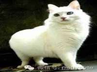 柳州筑千商贸有限公司