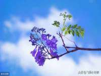 柳州筑千商贸有限公司