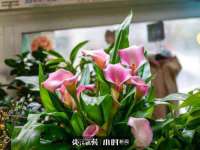 柳州筑千商贸有限公司