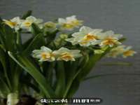 柳州筑千商贸有限公司