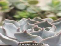 柳州筑千商贸有限公司