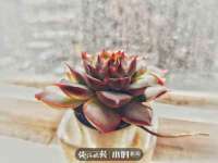 柳州筑千商贸有限公司