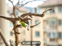 柳州筑千商贸有限公司