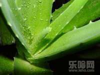 柳州筑千商贸有限公司