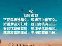 柳州筑千商贸有限公司