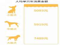 柳州筑千商贸有限公司