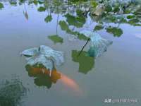 柳州筑千商贸有限公司
