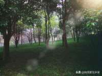 柳州筑千商贸有限公司