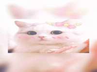 柳州筑千商贸有限公司