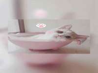 柳州筑千商贸有限公司