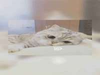 柳州筑千商贸有限公司