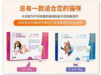 柳州筑千商贸有限公司
