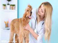 柳州筑千商贸有限公司