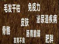 柳州筑千商贸有限公司
