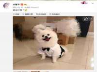 柳州筑千商贸有限公司