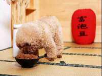 柳州筑千商贸有限公司