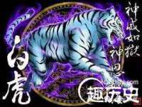 柳州筑千商贸有限公司