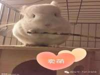 柳州筑千商贸有限公司